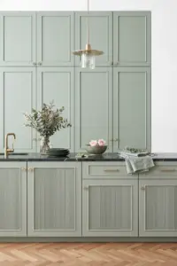 kuhnya nensi zelenaya